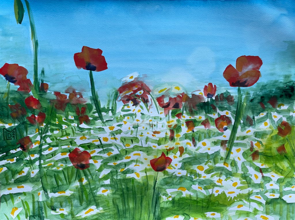 Poppy Field with Daisies (1)