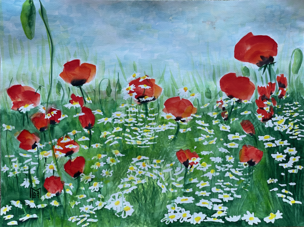 Poppy Field with Daisies (2)