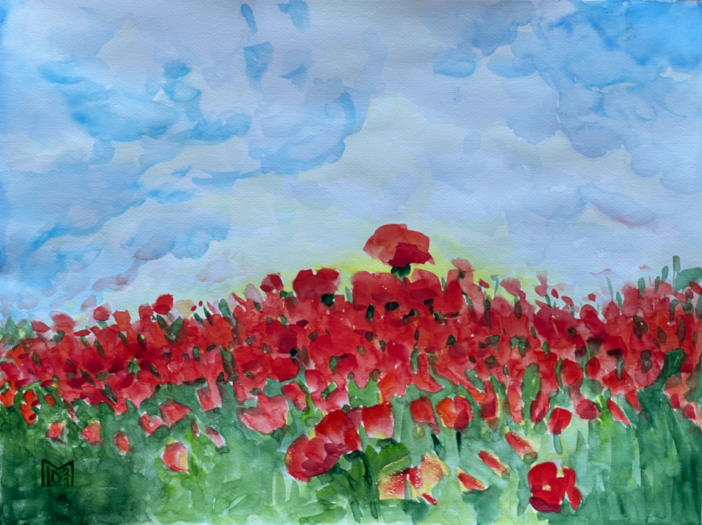 Poppy Field (1)