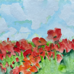 Poppy Field (2)